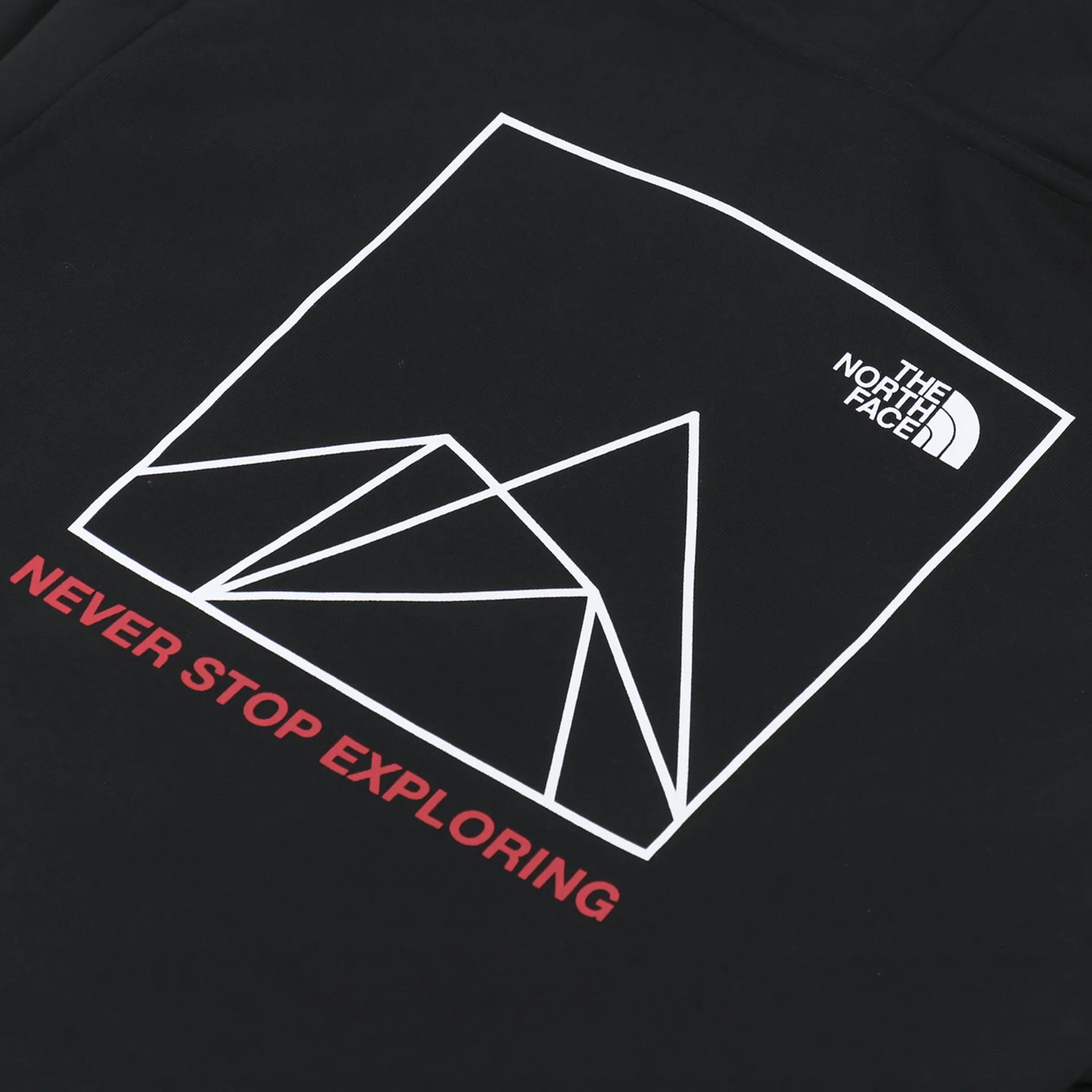 The North Face dukserica