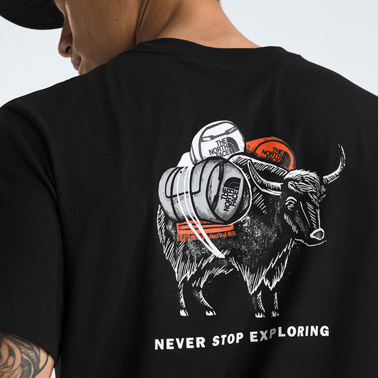 The North Face muška majica M Evolution Vault Tri Pack