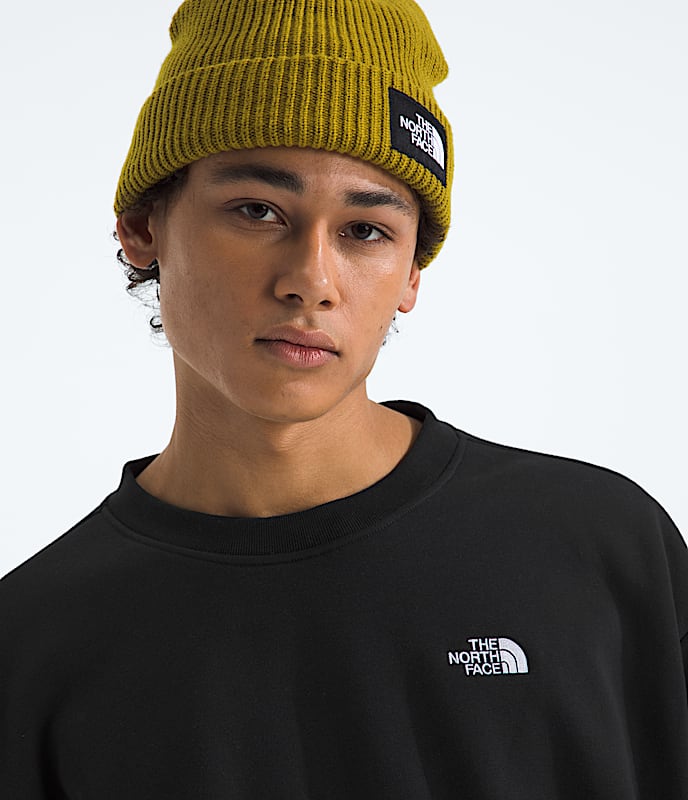The North Face Evolution Simple Dome Oversized muška dukserica